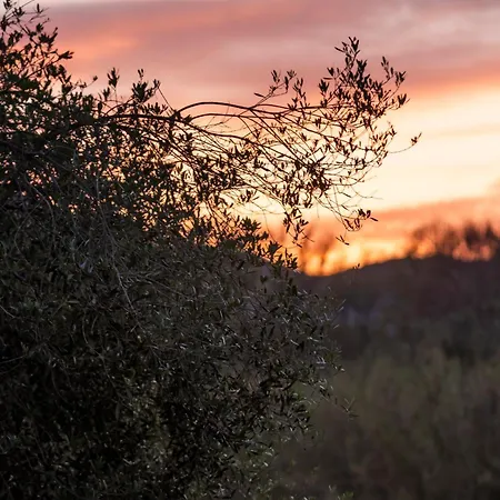 Katerina's Sunset * Episkopiana (Corfu)