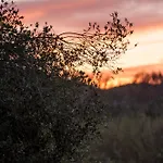 Katerina's Sunset * Episkopiana (Corfu)